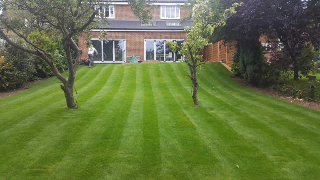 ac43defe b16b 4d1d 89e0 90a36b0dea4a 3