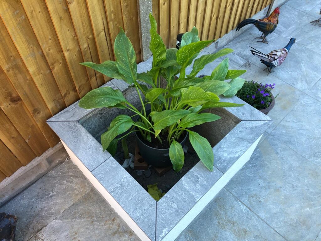 cc03a054 d2c8 42d4 b590 53f0c4e59ed5 2